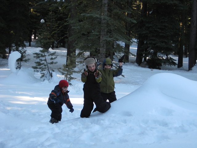 IMG -2008-01-09-0213